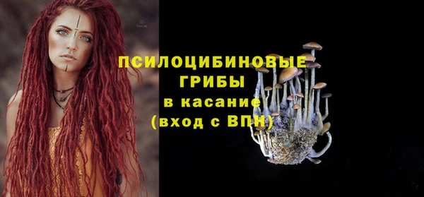 spice Арсеньев