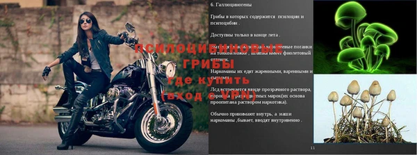 марки nbome Аркадак